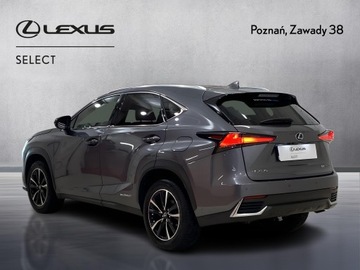 Lexus NX I SUV Facelifting 300h 197KM 2021 Lexus NX 300h F Impression AWD I (2014-2021) Lexus, zdjęcie 8