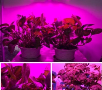LED GROW 5:1 660/630/450 нм УФ-лампа для растений