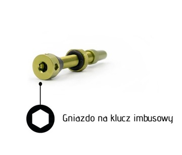 Wentyle UST Cush Core ready V2