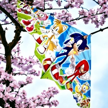 БОЛЬШОЙ ДЕТСКИЙ КАЙТ SONIC SONIK 120x60 CM XXL - Идеально подходит для обучения