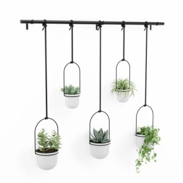 Подвесной цветок Triflora с регулируемой высотой