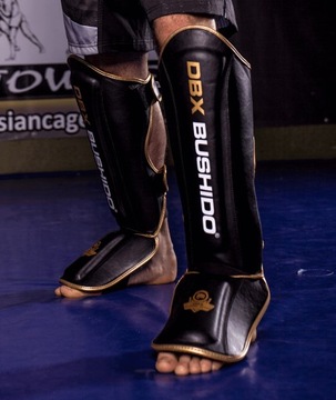 Щитки, щитки, стопы L