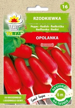 Rzodkiewka Opolanka (wczesna) - taśma 6m