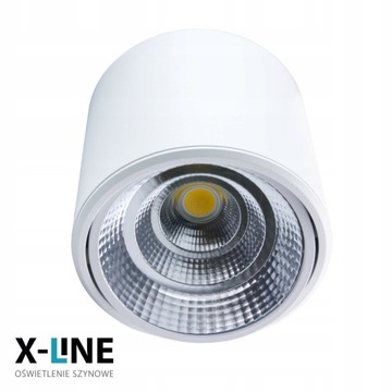 Reflektor LED punktowy regulowany natynkowy 20 W 1