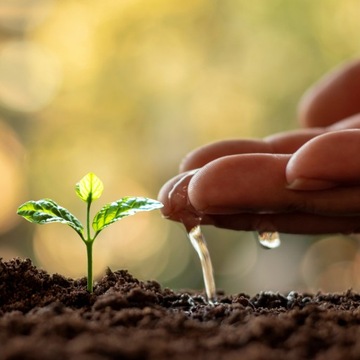 Грунт УНИВЕРСАЛЬНЫЙ 50л для ЦВЕТОВ ОВОЩЕЙ ДЕКОРАТИВНЫХ РАСТЕНИЙ ТРАВ ФРУКТОВ