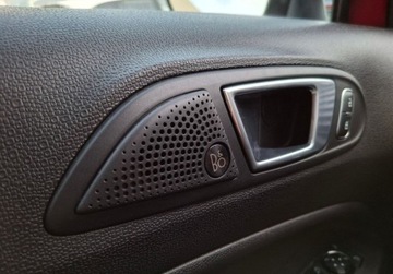 Ford Ecosport II SUV Facelifting 1.0 EcoBoost 125KM 2021 Ford EcoSport Ford Ecosport, Salon Polska, Serwis ASO, Kamera, FV 23 125KM, zdjęcie 24