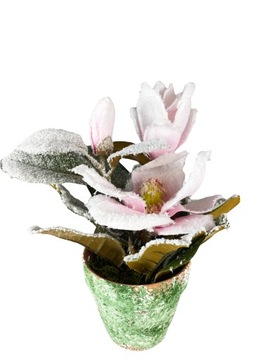 MAGNOLIA W DONICZCE SZTUCZNA ROŚLINA OŚNIEŻONA