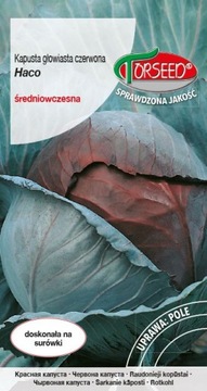 KAPUSTA GŁOWIASTA CZERWONA HACO WCZESNA PLENNA NASIONA TORSEED 1G
