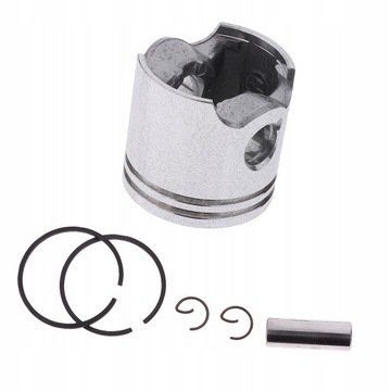 Поршневые кольца 35 мм. Уличные растения