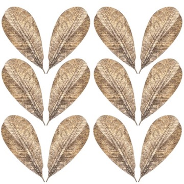 Безопасность+ Японские суши Сашими Листья