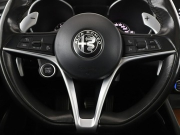 Alfa Romeo Stelvio SUV 2.0 Turbo 280KM 2017 Alfa Romeo Stelvio 2.0 Turbo Edition Automat, zdjęcie 20