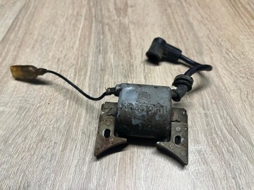 ROBIN HT02W CEWKA MODUŁ ISKROWNIK