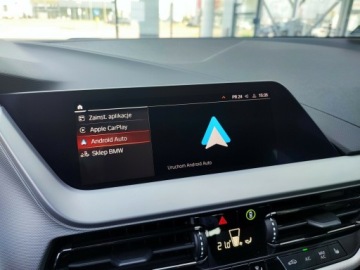 BMW Seria 1 F40 2021 BMW 118 BMW 118i Faktura VatMarża, Salon PL, Bezwy, zdjęcie 21