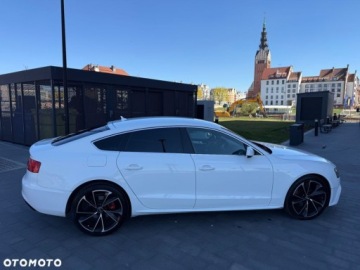 Audi A5 8T Coupe 2.0 TDI 170KM 2011 Audi A5 Sportback Audi A5 Sportback 2.0 Diesel 170KM, zdjęcie 27
