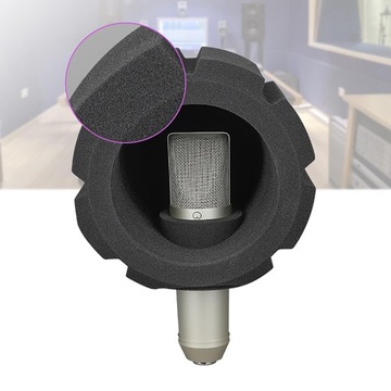 Nagrywanie za pomocą gąbki akustycznej na ekranie mikrofonu F2