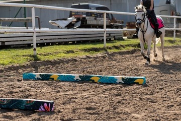 HorseMania - пенопластовые палки, комплект - 3 шт. 3,3мx10см ПЕРСОНАЛИЗАЦИЯ