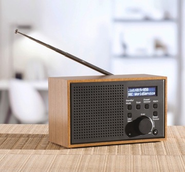 Сетевое радио DAB+ FM Денвер DAB-46
