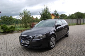 Audi A3 8P Hatchback 3d 1.6 102KM 2008