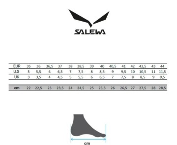 Кроссовки Salewa Wildfire Edge GTX, размер 45