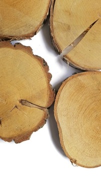 Деревянные бруски 5 шт для садовой дорожки 20-25 см.