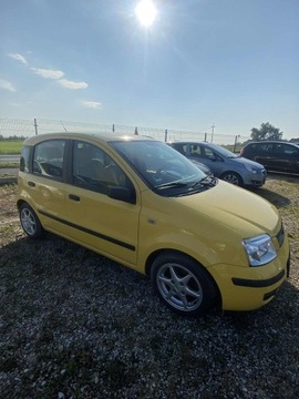 Fiat Panda II Hatchback 5d 1.2 8v 60KM 2006 Fiat Panda 1,2 2006, zdjęcie 3