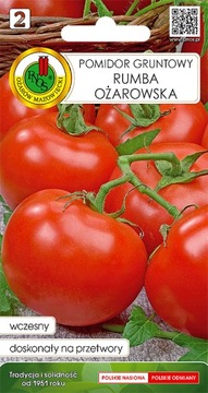 NASIONA POMIDOR GRUNTOWY RUMBA OŻAROWSKA 0,5g