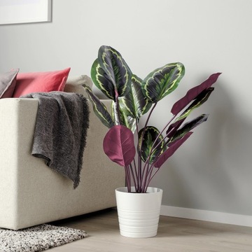 IKEA CALATHEA MEDALLION sztuczna roślina 100 cm