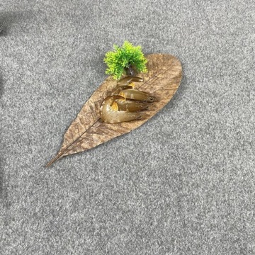 УКРАШЕНИЯ ИЗ СУХИХ ЛИСТЬЕВ БЛЮДА СУШИ ЛИСТЬЯМИ ПУЕ