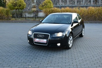 Audi A3 8P Hatchback 3d 1.6 102KM 2008 Audi A3 1.6MPi 102KM Manual 2008r. lift Climatroni, zdjęcie 14