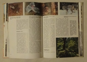 ПУТИ ПРИРОДЫ - ПУТИ ПРИРОДЫ - АЛЬБОМ - РЕДКАЯ