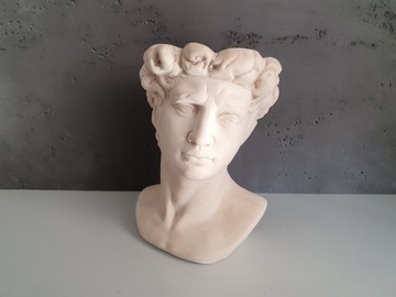 Крышка Цезаря Голова Цветочный Горшок Украшение Чаша ПОДАРОК