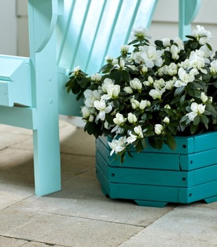 Плоская кисть-губка 2,5 см.