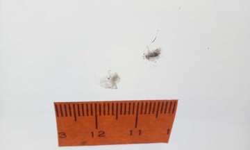 SZYBA CZOŁOWA BMW X3 E83 2003-2010 ORYGINALNA