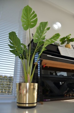 золотое УКРАШЕНИЕ POINSENCE ПОДАРОЧНОЕ ОБЛОЖКА ДЛЯ ДОМА 12