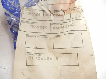 Направляющая стекла передней двери L FIAT REGATA 7563784