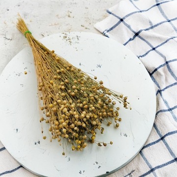 Сушеный лен - Натуральный - большой букет ~ 80-100г