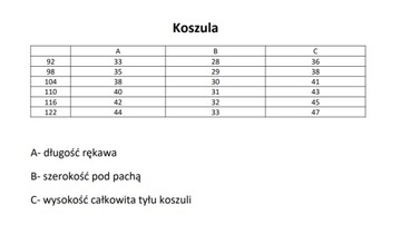 Бордовая РУБАШКА С УЛИТКАМИ 116