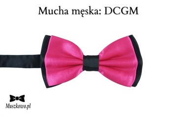 Szelki i mucha dla MATEMATYKA KOLOROWE CYFERKI 16