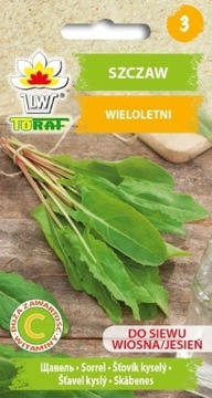 SZCZAW odporny na mrozy wieloletnia nasiona