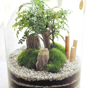 Набор из каменной коры ЛЕС В БАНКЕ Украшение 11-31