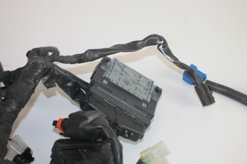 KTM DUKE 125 250 390 17-23 ЭЛЕКТРИЧЕСКАЯ УСТАНОВКА ОСНОВНОЙ ЖГУТ ПРОВОДОВ