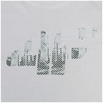 Мужская футболка 4F T-Shirt 1889 Undershirt Limited Cotton Sports L