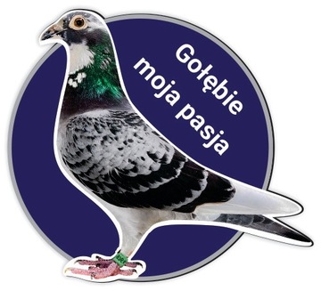 magnes samochód kabina gołębie pzhgp dzień taty