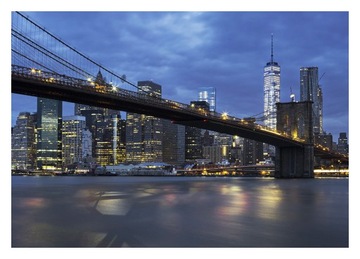 Fototapeta 3D most Nowy Jork noc 254x184 F00631