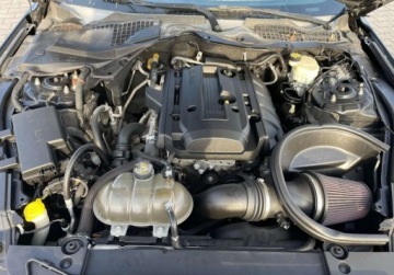 Ford Mustang VI 2016 Ford Mustang 2016 Ford Mustang 2.3 - w POLSCE po oplatach i akcyzie FV, zdjęcie 15