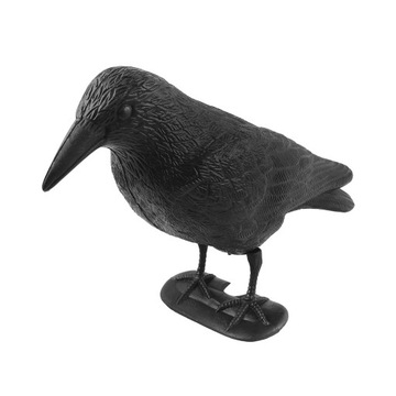 ПЛАСТИКОВЫЙ ВОРОН – ЭФФЕКТИВНЫЙ ОТПУСКАТЕЛЬ ДЛЯ МАЛЕНЬКИХ ПТИЦ