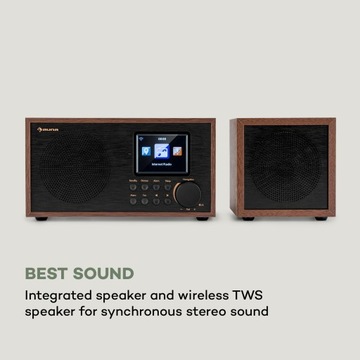 Интернет-радио, DAB+/FM, Wi-Fi, BT, динамик TWS
