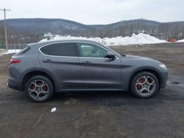 Alfa Romeo Stelvio SUV 2.0 Turbo 280KM 2019 Alfa Romeo Stelvio 2019 ALFA ROMEO STELVIO AWD 2.0 Benzyna 280KM, zdjęcie 7