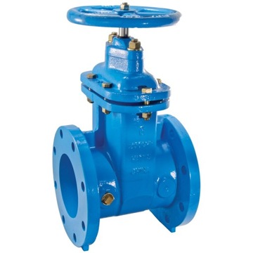 Zawór Watts 4'' DN100 405-RW 4