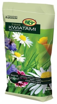 TRAWA KWIATOWA KWIETNA ŁĄKA Z KWIATÓW MALOWANA 5KG OGRODOWA POLNE NASIONA